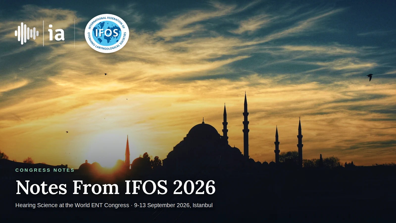 Notes From IFOS 2026 cover image: the Istanbul skyline at sunset
